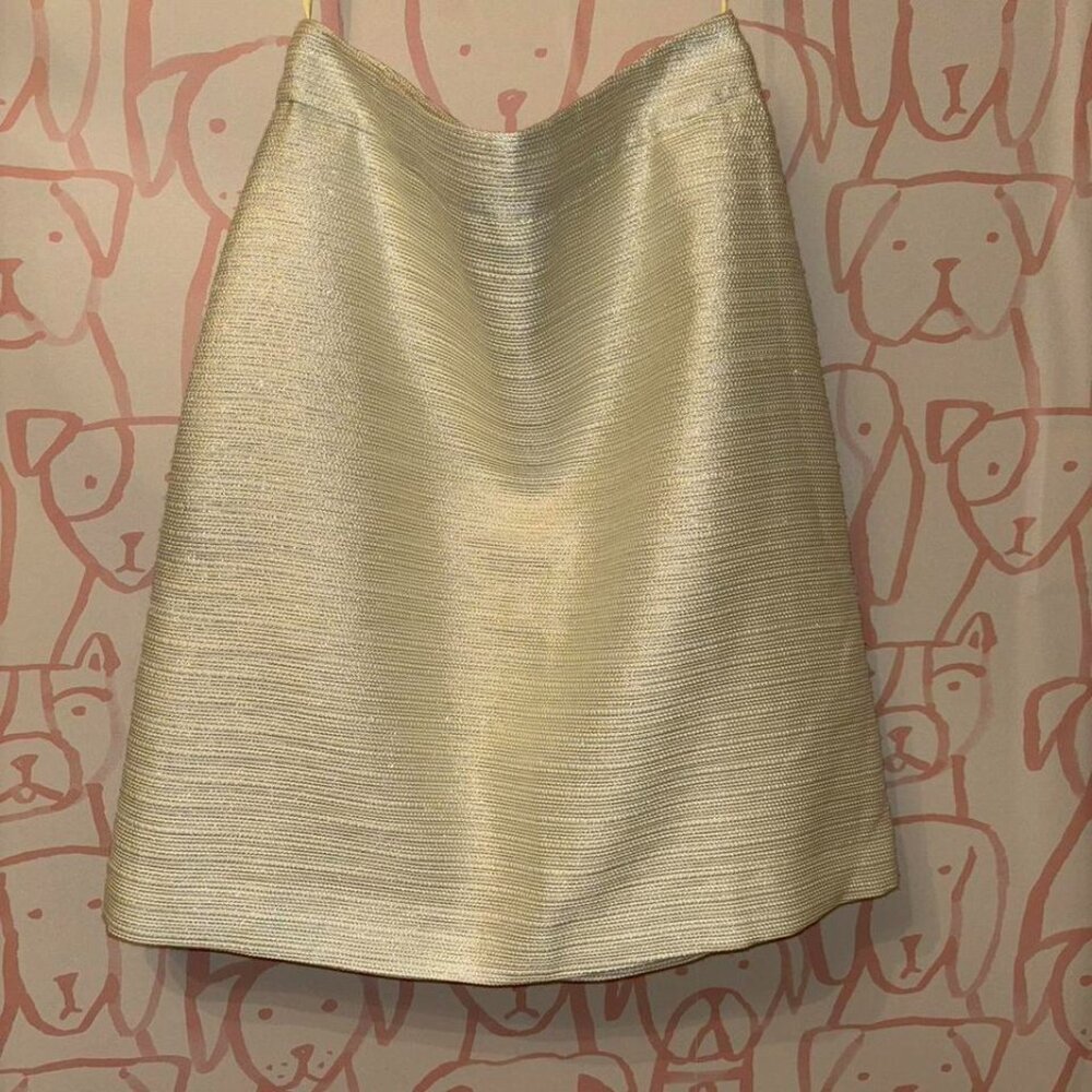 Anthropologie Shimmered Cressida Skirt by Paper Crown